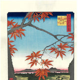 Utagawa Hiroshige - No.094 The Maple Trees at Mama, the Tekona Shrine and Tsugihashi Bridge - One hundred Famous View of Edo - Free shipping