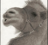 Kotozuka Kichitaro  琴塚吉太朗 - Two-breasted camel  フタコブラクダ  - High-Fidelity Fine Art Reproduction  - Free Shipping　