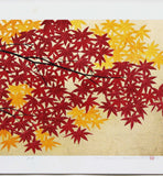 Namiki Hajime 並木一 - momiji-5 (ED300) -  Free Shipping