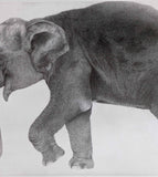 Kotozuka Kichitaro  琴塚吉太朗 - Asian elephant　アジアゾウ-Limited to 100 pieces - High-Fidelity Fine Art Reproduction  - Free Shipping　
