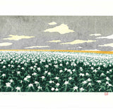 Namiki Hajime 並木一 -  Hill－３Potato 　(ED200) -  Free Shipping