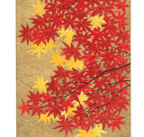 Namiki Hajime 並木一 -  momiji-4　(ED300) -  Free Shipping