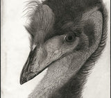 Kotozuka Kichitaro  琴塚吉太朗 - Emu  エミュー - High-Fidelity Fine Art Reproduction  - Free Shipping　