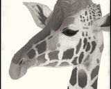 Kotozuka Kichitaro  琴塚吉太朗 - Giraffe 　キリン - High-Fidelity Fine Art Reproduction  - Free Shipping　