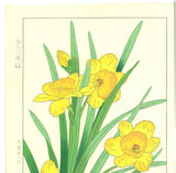 Osuga Yuichi - Rappa Suisen (Daffodil) - Free Shipping