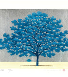 Namiki Hajime 並木一 -   BLUE TREE　(ED500) -  Free Shipping