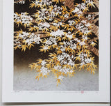 Namiki Hajime 並木一 - Sakura 7  (ED200) -  Free Shipping