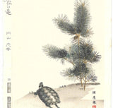 Maruyama Okyo - Wakamatsu ni Kamezu (Turtle and Young Pine Trees) 若松に亀図 - Free Shipping