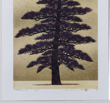 Namiki Hajime 並木一 -  Tree Scenen 163　(ED300) -  Free Shipping