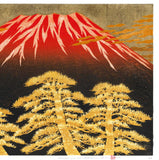 Namiki Hajime 並木一 -  Fuji17 　(ED200) -  Free Shipping