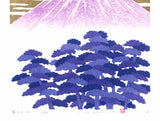 Namiki Hajime 並木一 -  Tree Scene 　Fuji20　(ED300) -  Free Shipping