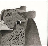 Kotozuka Kichitaro  琴塚吉太朗 - Japanese Green Pheasant  ニホンキジ - High-Fidelity Fine Art Reproduction  - Free Shipping　