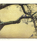 Yoshida Toshi - #015106 Jyuzu kake no Ume (Plum tree ＆ Blue Magpie)   吉田遠志 木版画  015106 数珠かけの梅 Plum tree ＆ Blue Magpie  - Free Shipping