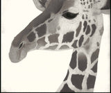 Kotozuka Kichitaro  琴塚吉太朗 - Giraffe 　キリン - High-Fidelity Fine Art Reproduction  - Free Shipping　