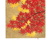 Namiki Hajime 並木一 -  momiji-4　(ED300) -  Free Shipping