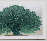 Namiki Hajime 並木一 - Tree Scnen 162  木の風景  (ED200) -  Free Shipping