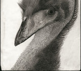 Kotozuka Kichitaro  琴塚吉太朗 - Emu  エミュー - High-Fidelity Fine Art Reproduction  - Free Shipping　