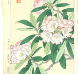 Osuga Yuichi - Shakunage  (Rhododendron) - Free Shipping