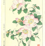 Osuga Yuichi - Sazanka 山茶花 (Camellia) - Free Shipping