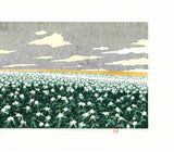 Namiki Hajime 並木一 -  Hill－３Potato 　(ED200) -  Free Shipping