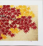 Namiki Hajime 並木一 - momiji-5 (ED300) -  Free Shipping