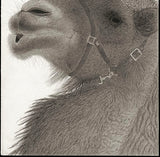 Kotozuka Kichitaro  琴塚吉太朗 - Two-breasted camel  フタコブラクダ  - High-Fidelity Fine Art Reproduction  - Free Shipping　