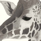 Kotozuka Kichitaro  琴塚吉太朗 - Giraffe 　キリン - High-Fidelity Fine Art Reproduction  - Free Shipping　