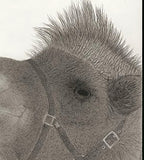 Kotozuka Kichitaro  琴塚吉太朗 - Two-breasted camel  フタコブラクダ  - High-Fidelity Fine Art Reproduction  - Free Shipping　