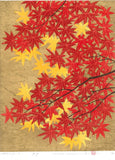 Namiki Hajime 並木一 -  momiji-4　(ED300) -  Free Shipping