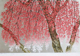 Namiki Hajime 並木一 - Weeping cherry blossoms 29 枝垂桜　 (ED200) -  Free Shipping