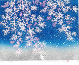 Namiki Hajime 並木一 -  Sakura さくら 　(ED500) -  Free Shipping