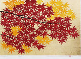 Namiki Hajime 並木一 - momiji-5 (ED300) -  Free Shipping