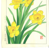 Osuga Yuichi - Rappa Suisen (Daffodil) - Free Shipping