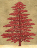 Namiki Hajime 並木一 -  Tree Scene 164A　(ED300) -  Free Shipping