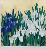 Namiki Hajime 並木一 - iris79  　(ED200) -  Free Shipping