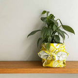 Isamonyou -  Double-Sided Dyeing Matsu (Pine) Yellow/Gray 48 伊砂文様 両面 松 キイロ/グレー  20479-138  - Furoshiki (Japanese Wrapping Cloth)