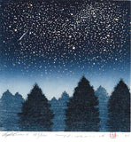 Namiki Hajime 並木一 -   Night Scene 4　(ED300) -  Free Shipping