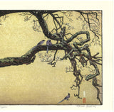 Yoshida Toshi - #015106 Jyuzu kake no Ume (Plum tree ＆ Blue Magpie)   吉田遠志 木版画  015106 数珠かけの梅 Plum tree ＆ Blue Magpie  - Free Shipping