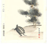 Maruyama Okyo - Wakamatsu ni Kamezu (Turtle and Young Pine Trees) 若松に亀図 - Free Shipping
