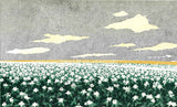 Namiki Hajime 並木一 -  Hill－３Potato 　(ED200) -  Free Shipping
