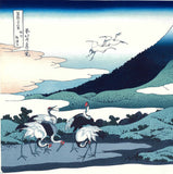 Katsushika Hokusai - #27 - Soshū umezawanoshō (Umezawa in Sagami Province) 相州梅沢左  - Free Shipping