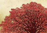 Namiki Hajime 並木一 -  Tree Scene 148　(ED200) -  Free Shipping