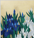 Namiki Hajime 並木一 - iris79  　(ED200) -  Free Shipping