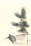 Maruyama Okyo - Wakamatsu ni Kamezu (Turtle and Young Pine Trees) 若松に亀図 - Free Shipping