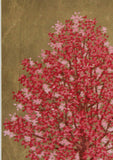 Namiki Hajime 並木一 -  Magnolia 3　(ED200) -  Free Shipping