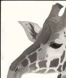 Kotozuka Kichitaro  琴塚吉太朗 - Giraffe 　キリン - High-Fidelity Fine Art Reproduction  - Free Shipping　