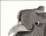 Kotozuka Kichitaro  琴塚吉太朗 - Japanese Green Pheasant  ニホンキジ - High-Fidelity Fine Art Reproduction  - Free Shipping　