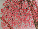 Namiki Hajime 並木一 - Weeping cherry blossoms 29 枝垂桜　 (ED200) -  Free Shipping