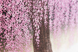 Namiki Hajime 並木一 - Weeping cherry blossoms 30 枝垂桜   (ED200) -  Free Shipping