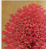 Namiki Hajime 並木一 -  Dogwood10　(ED200) -  Free Shipping